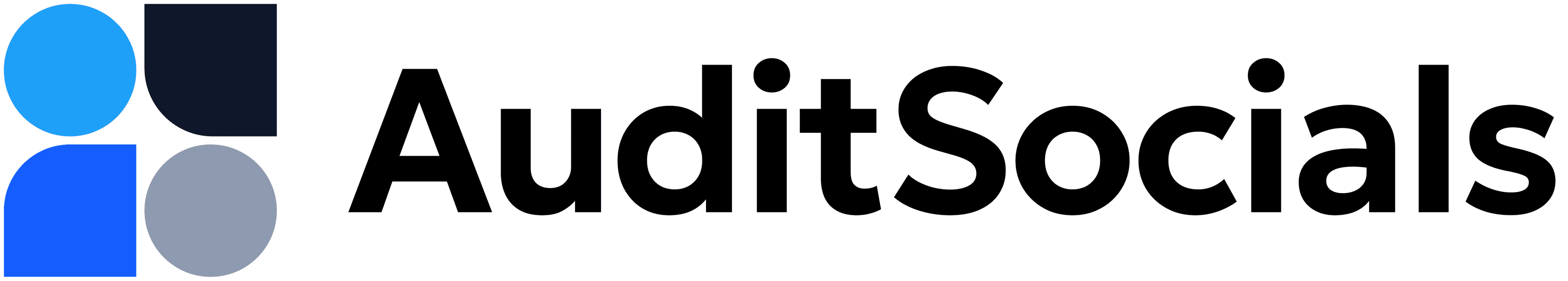 AuditSocials Logo